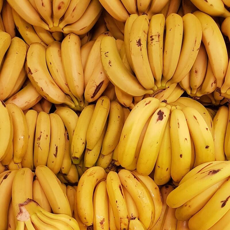 Plantação de Bananas